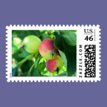 apples stamps