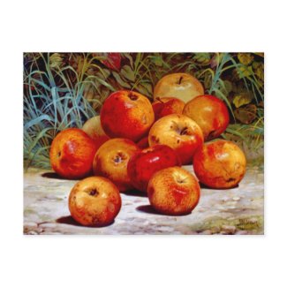 Apples Postcard postcard