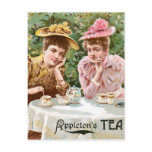 Appleton's Tea Vintage Drink Ad Art Post Cards