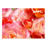 Appointment Reminder Cards Pink Rose Flowers Business Card