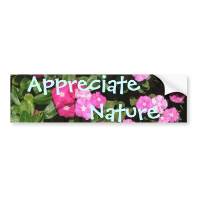 Appreciate Nature Bumper Stickers by DonnaGrayson