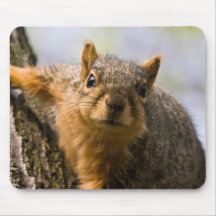 Apprehensively Inquisitive-mousepad
