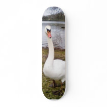 Approaching Curious Big White Swan skateboards