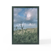 Approaching Storm cards