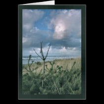 Approaching Storm cards