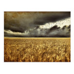 Approaching Storm Post Card