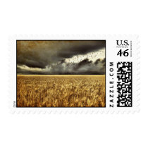 Approaching Storm Stamp