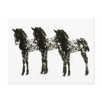 Appy Colts Post Cards