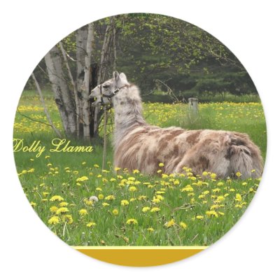 Appy Llama Stickers by RookyStudios