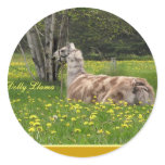 Appy Llama Stickers