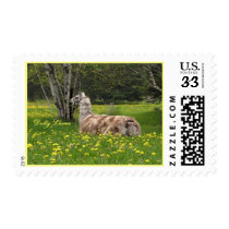 Appy Llama USPS Stamps #1 by RookyStudios Appy Llama USPS Stamps #1
