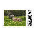 Appy Llama USPS Stamps #1