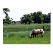 Appy on the farm postcards