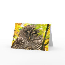 Appy Owlidays Card