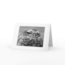 Appy Owlidays. Cards