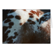 Appyspots cards