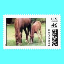 apr postage
