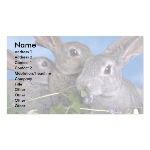Apricot and Blue Rex Rabbit Business Card