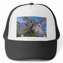 Apricot and Blue Rex Rabbit Trucker Hats