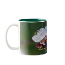 apricot blosom mug