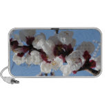 Apricot Blossom Doodle Speaker