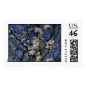 Apricot blossoms, April 2002 postage by viviculture Apricot blossoms, April 2002 postage