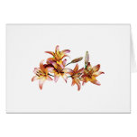 Apricot-Colored Lilies Card
