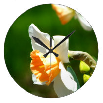 Apricot Daffodil Wall Clock