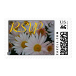 Apricot Daisies RSVP Postage Stamps