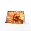 apricot, HAPPY BIRTHDAY WISHES cards