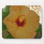 Apricot Hibiscus Mouse Pad
