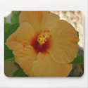 Apricot Hibiscus mousepads by CHOLOEPUS Apricot Hibiscus mousepads