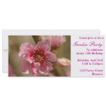 Apricot invitation