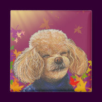 Apricot Laughing Poodle n Fall Leaves magnets