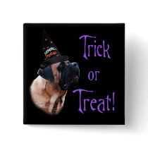 Apricot Mastiff Trick Button