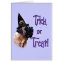 Apricot Mastiff Trick Card by MastiffStuff Apricot Mastiff Trick Card