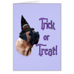 Apricot Mastiff Trick Card
