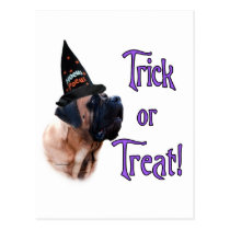 Apricot Mastiff Trick Postcard postcards