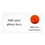 Apricot/Orange colored rose Photo Greeting Card