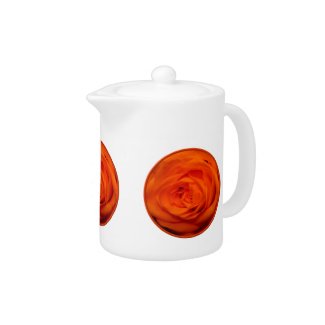Apricot/Orange colored rose