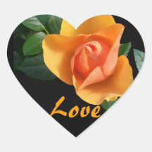 Apricot "Painted" Rose Sticker