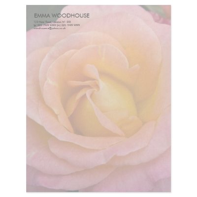 Apricot & Pink Rose DSC3444 Letterhead by HortusFloridus