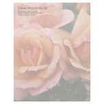 Apricot & Pink Roses DSC3262 Customized Letterhead