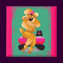 Apricot Poodle 50's Style magnets