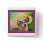 Apricot Poodle in Shades Art Portrait Pinback Button