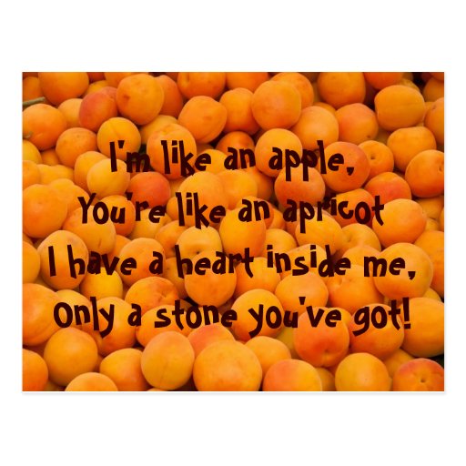 Apricot Quotes Postcard Zazzle