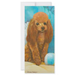 Apricot Red Poodle with Ball Personalized Rack Card