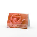 Apricot Rose • Engagement Congratulation Card by SabineStGreetings Apricot Rose • Engagement Congratulation Card