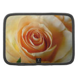 Apricot Rose Organizer