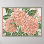 Apricot Roses Flower Garden Painting Posters